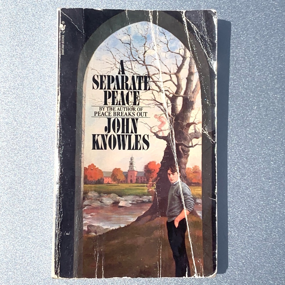 A Separate Peace John Knowles 1975 Bantam Vintage Paperback - Reading Copy
